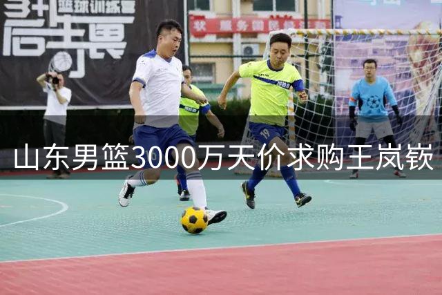 山东男篮3000万天价求购王岚嵚 租借合同成交易最大阻碍